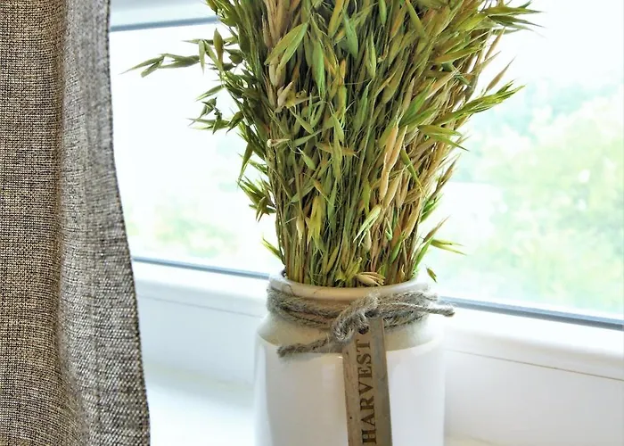 Work And Centrum Appartement