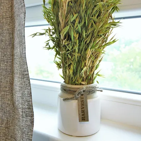 Work And Centrum Apartment